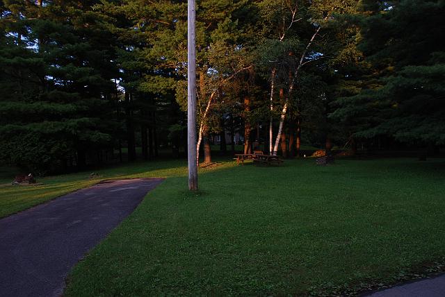 DSC_0320.JPG